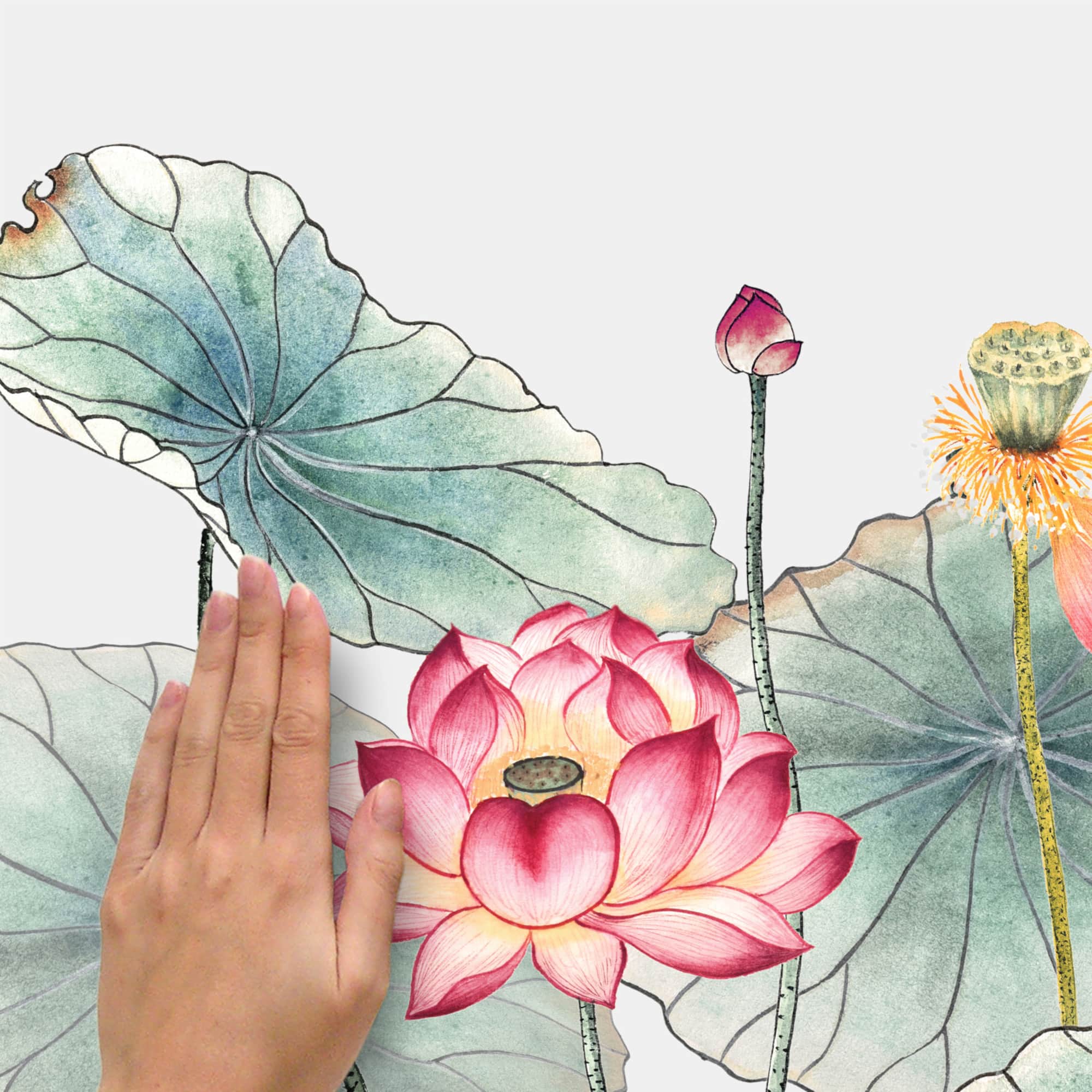 RoomMates Lotus Garden Peel & Stick Giant Wall Decal Set